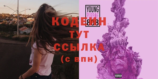 шишки Белоозёрский