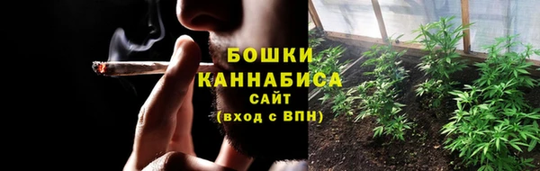 шишки Белоозёрский