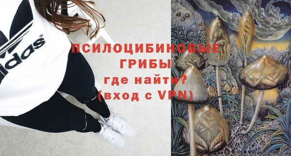 первитин Белокуриха