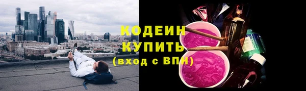 шишки Белоозёрский