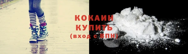 шишки Белоозёрский