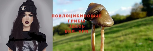 первитин Белокуриха