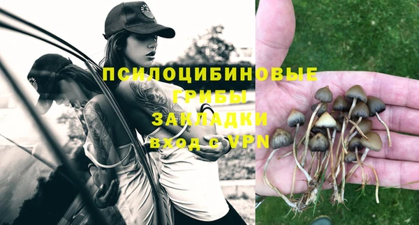первитин Белокуриха