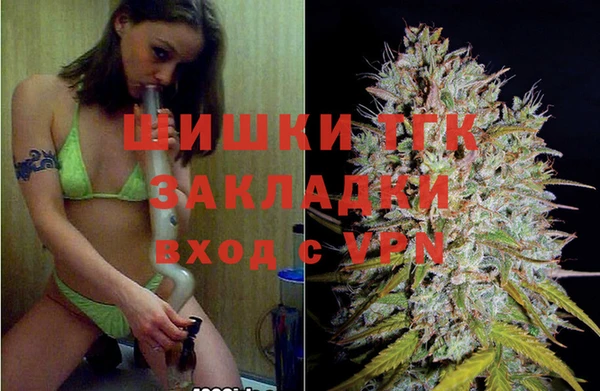 шишки Белоозёрский