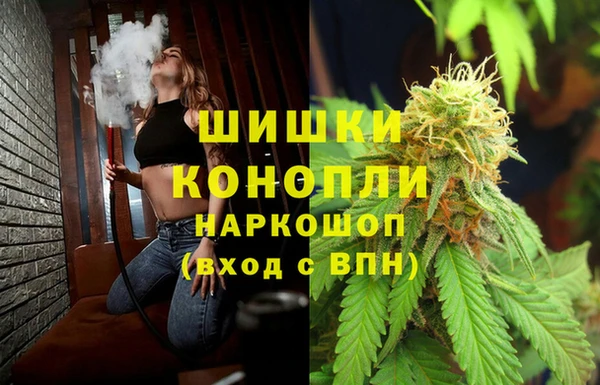 шишки Белоозёрский