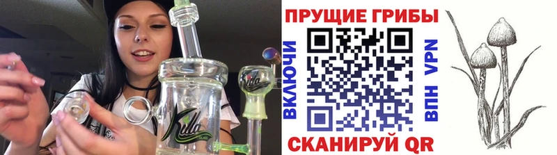 Галлюциногенные грибы прущие грибы  Тольятти 